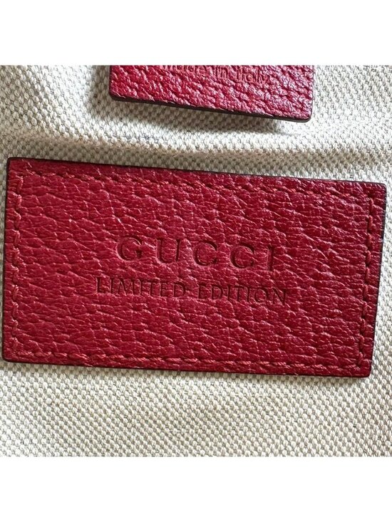 Gucci Backpack Bosco Brown main image 11